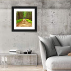 Thailand Pine Forest Path Wall Art