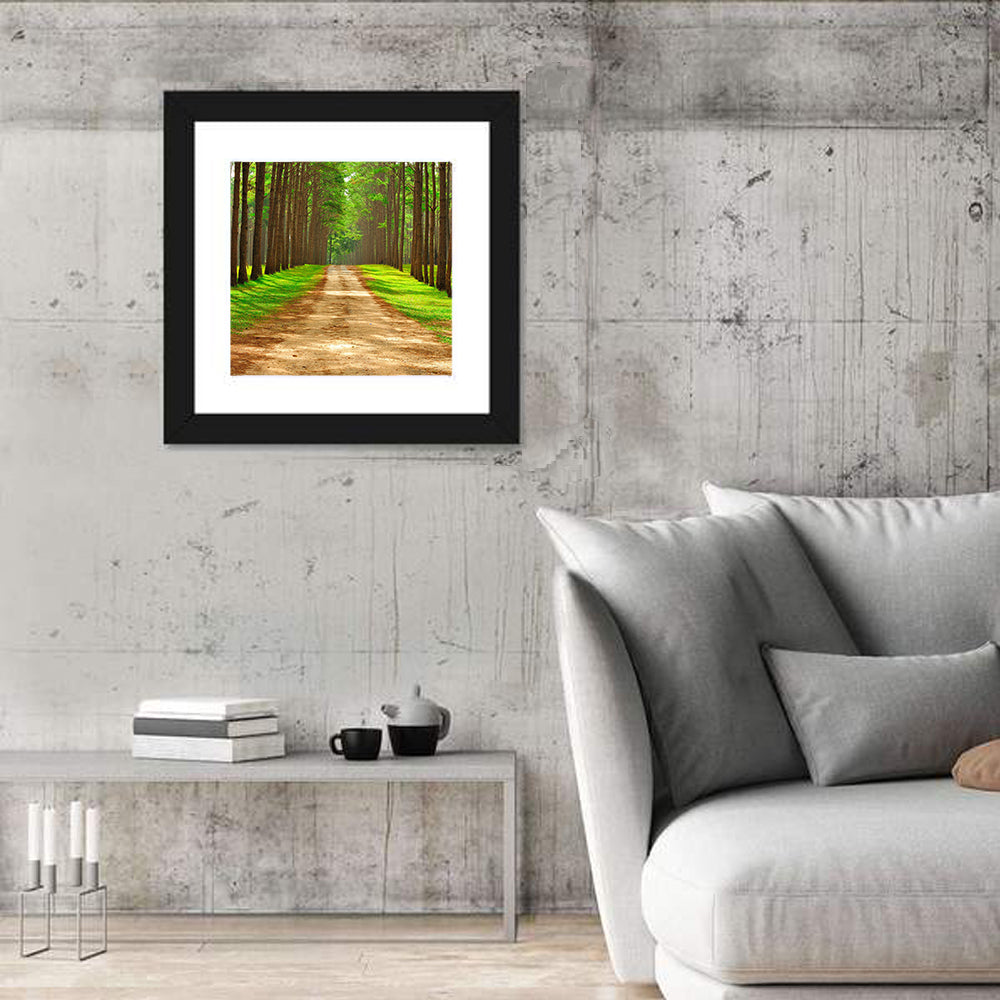 Thailand Pine Forest Path Wall Art