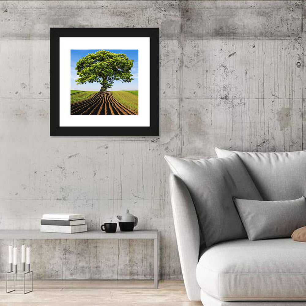 Solitary Tree on Plowed Hill Wall Art