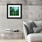 Moonlit Butterfly on Leaf Boat Wall Art
