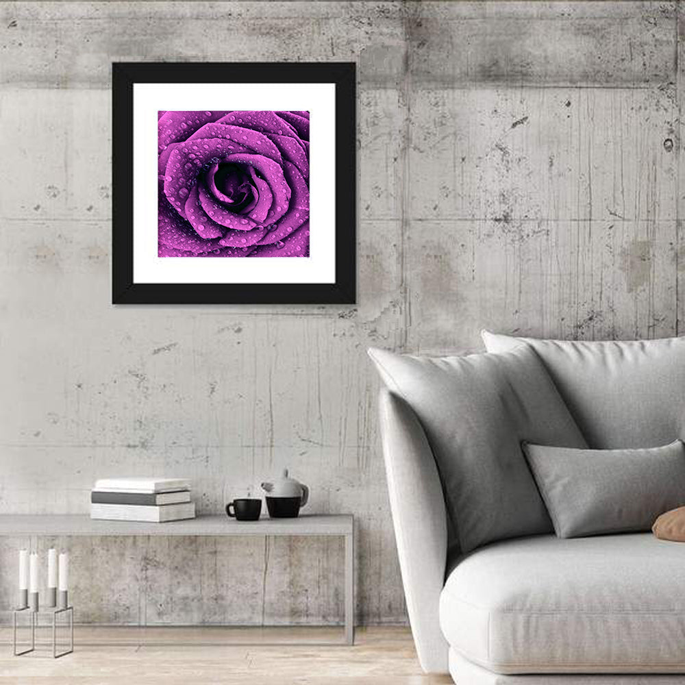 Purple Dark Rose Wall Art