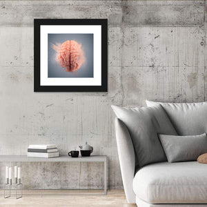 Human Brain CloseUp Wall Art