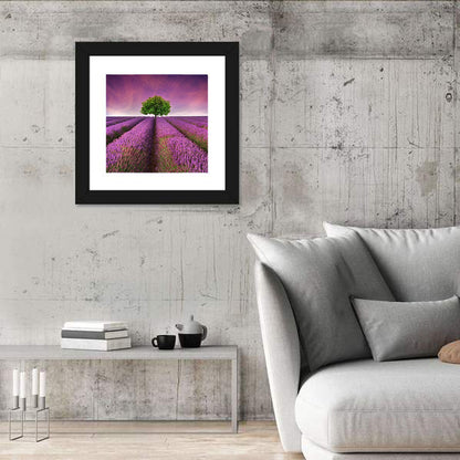 Lavender Field at Sunset Wall Art