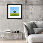 Solitary Tree on Rolling Meadow Wall Art