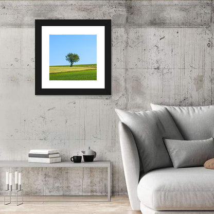 Solitary Tree on Rolling Meadow Wall Art