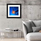 Elbow Joint Inflammation Illustration Wall Art