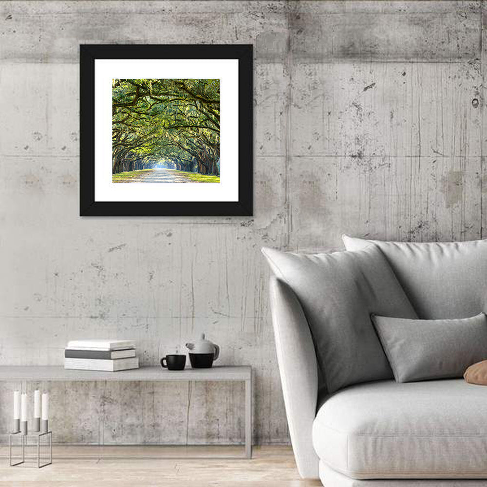 Wormsloe Plantation Oak Tunnel Wall Art