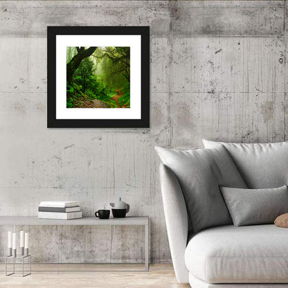 Misty Forest Trail in Nepal Wall Art