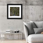 Dark Hedges Tree Tunnel Wall Art