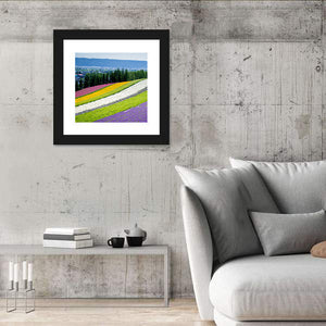 Lavender Garden In Fulano Hokkaido Wall Art