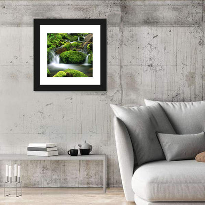 Mossy Mountain Stream Wall Art