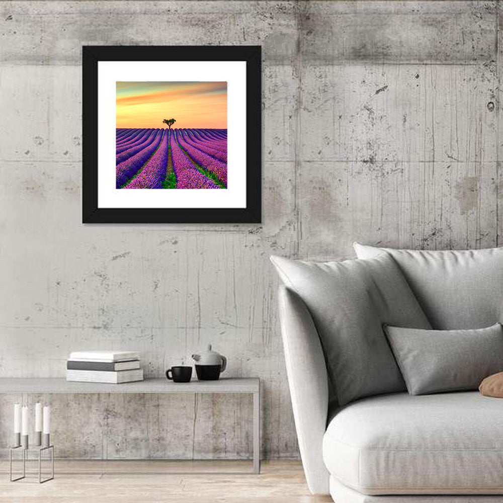 Lavender Field with Solitary Tree Wall Art