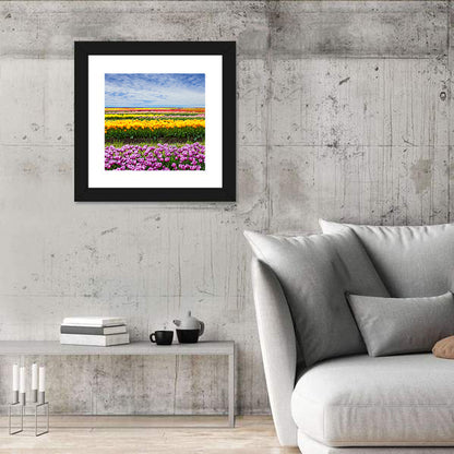 Rows of Colorful Tulip Fields Wall Art