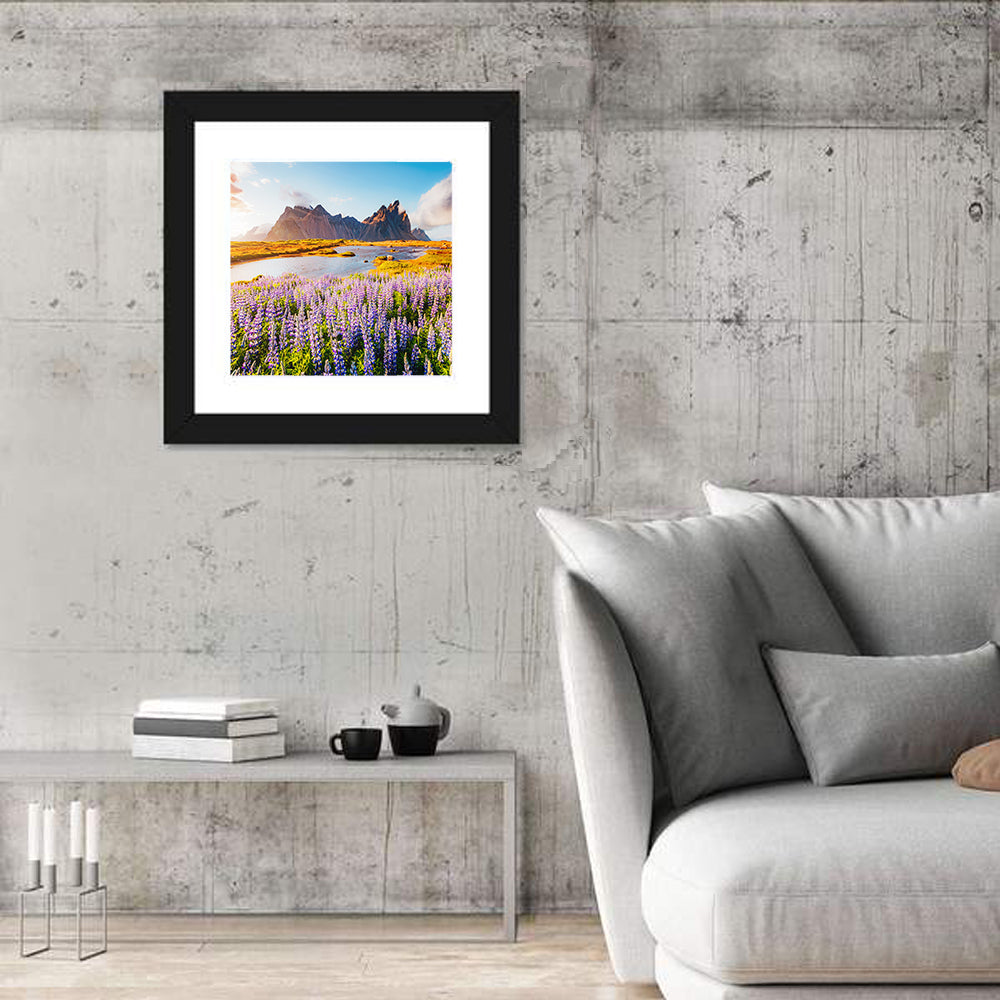Lupine Fields at Vestrahorn Wall Art