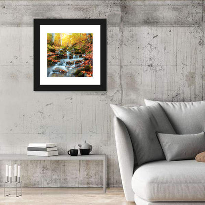 Backlit Autumn Forest Stream Wall Art