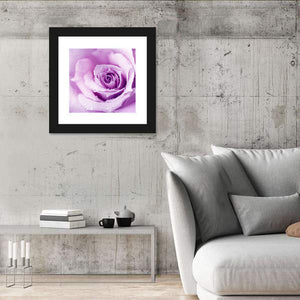 Purple Wet Rose Wall Art