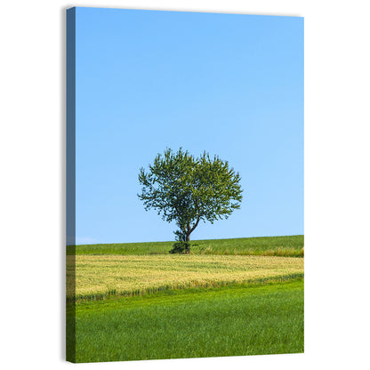Solitary Tree on Rolling Meadow Wall Art