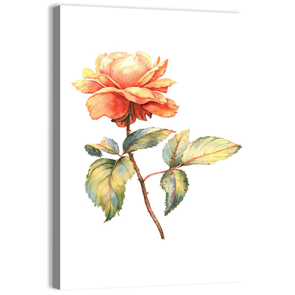 Orange Watercolor Rose Illustration Wall Art