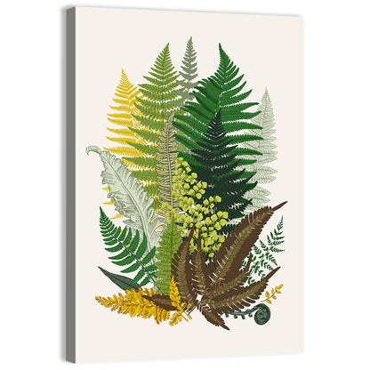 Fern Composition Wall Art