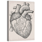 Human Heart Sketch Wall Art