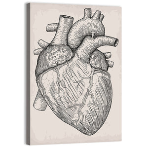 Human Heart Sketch Wall Art