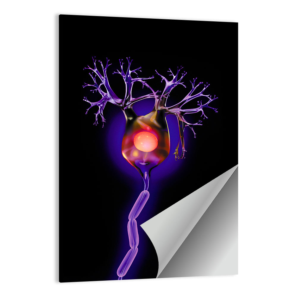 Microscopic Human Neuron Illustration Wall Art
