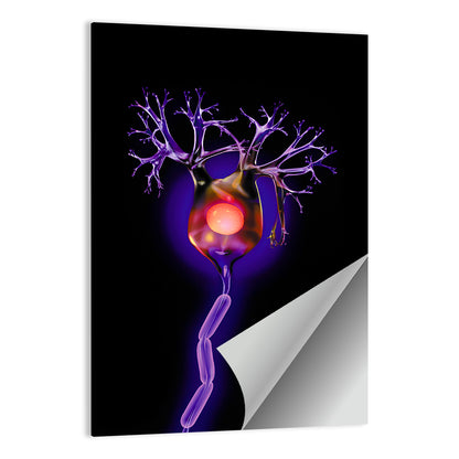 Microscopic Human Neuron Illustration Wall Art