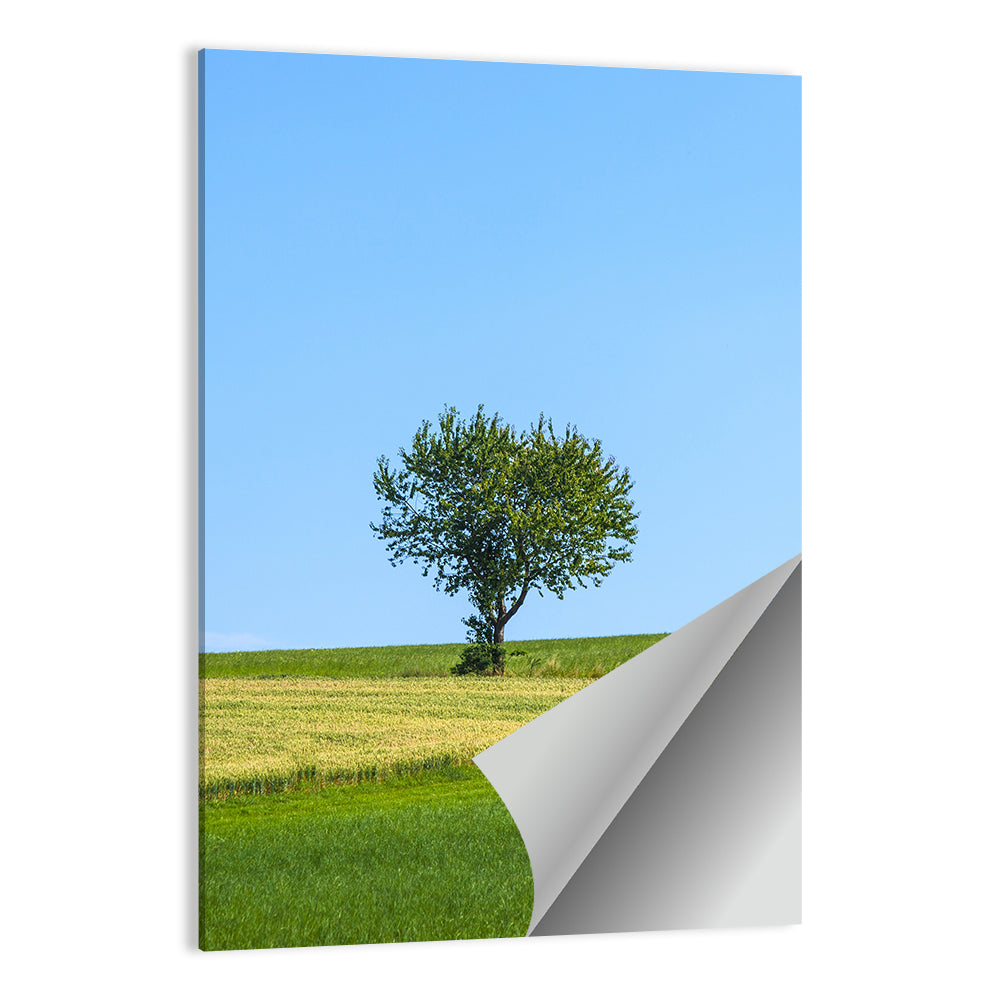 Solitary Tree on Rolling Meadow Wall Art