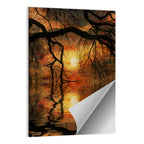 Lake Tree Silhouette at Golden Sunset Wall Art