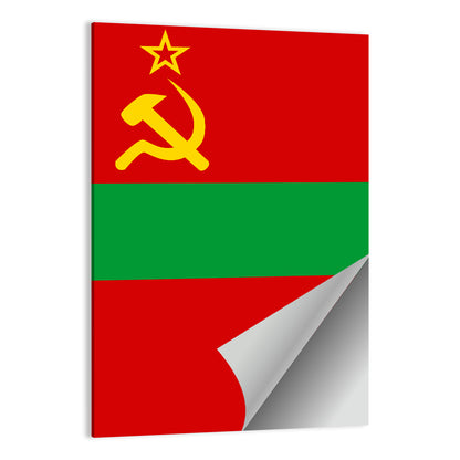 Flag Of Transnistria Wall Art