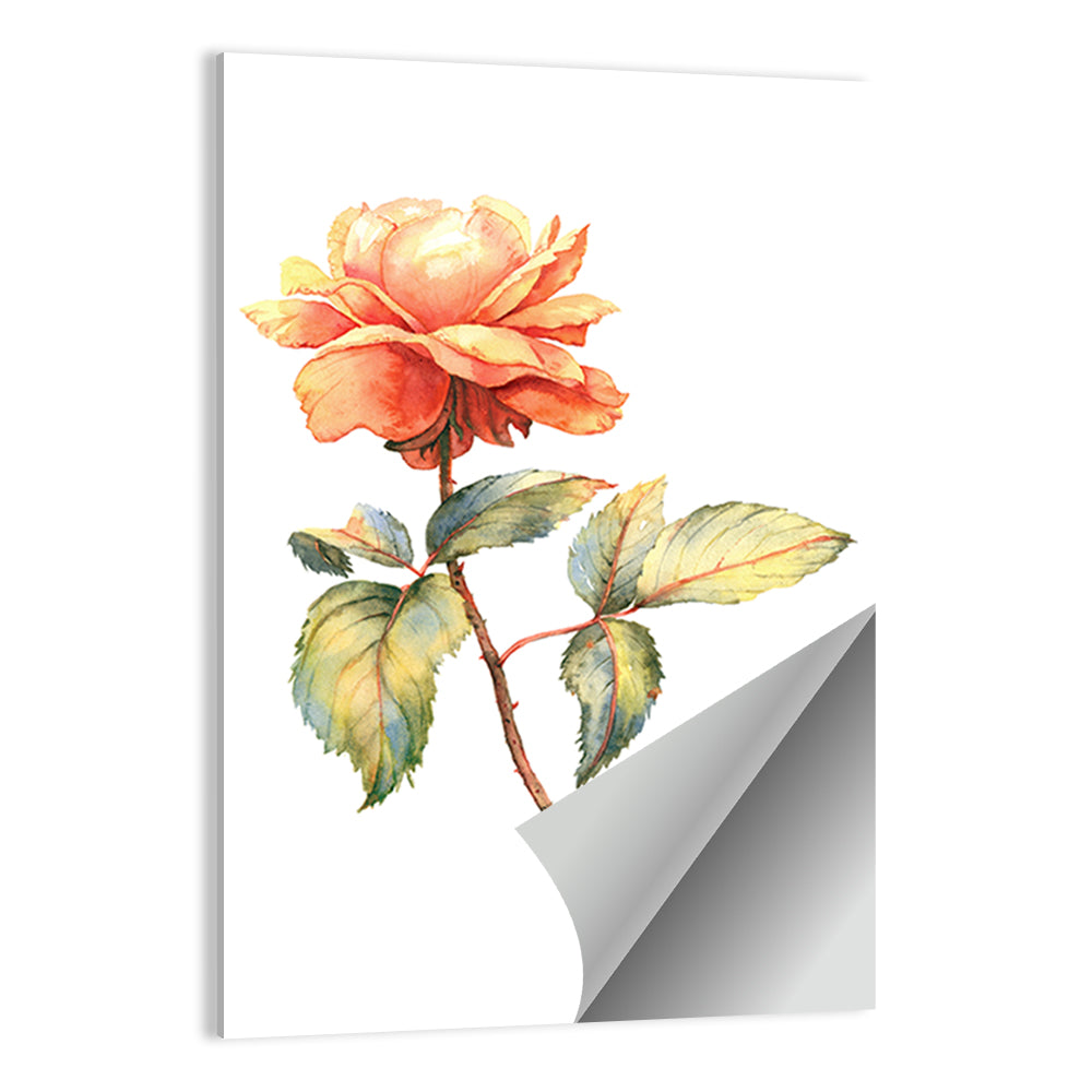 Orange Watercolor Rose Illustration Wall Art