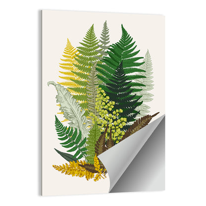 Fern Composition Wall Art
