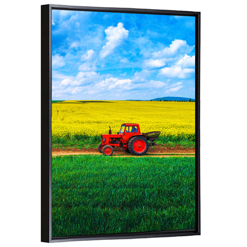 Red Tractor Over Yellow Rapeseed Field Wall Art
