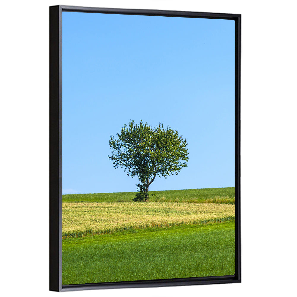 Solitary Tree on Rolling Meadow Wall Art