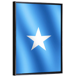 Flag Of Somalia Wall Art