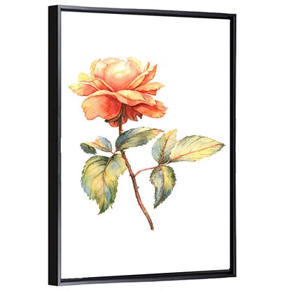 Orange Watercolor Rose Illustration Wall Art