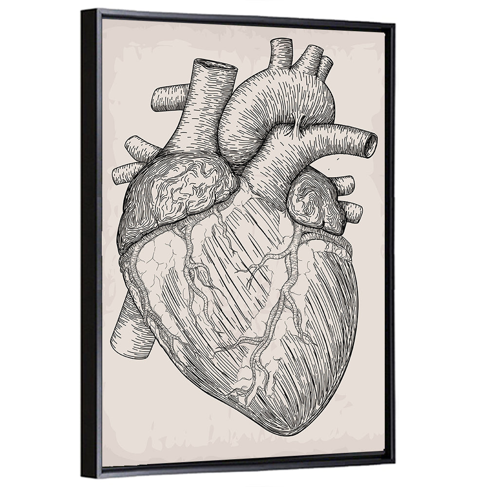 Human Heart Sketch Wall Art