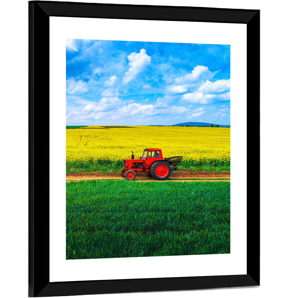 Red Tractor Over Yellow Rapeseed Field Wall Art