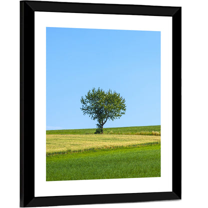 Solitary Tree on Rolling Meadow Wall Art