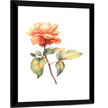 Orange Watercolor Rose Illustration Wall Art