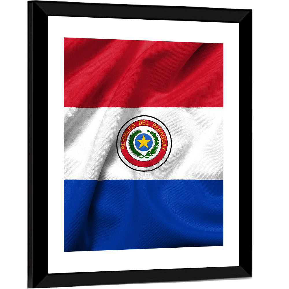 Paraguay Flag with Emblem Wall Art