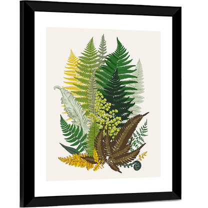 Fern Composition Wall Art