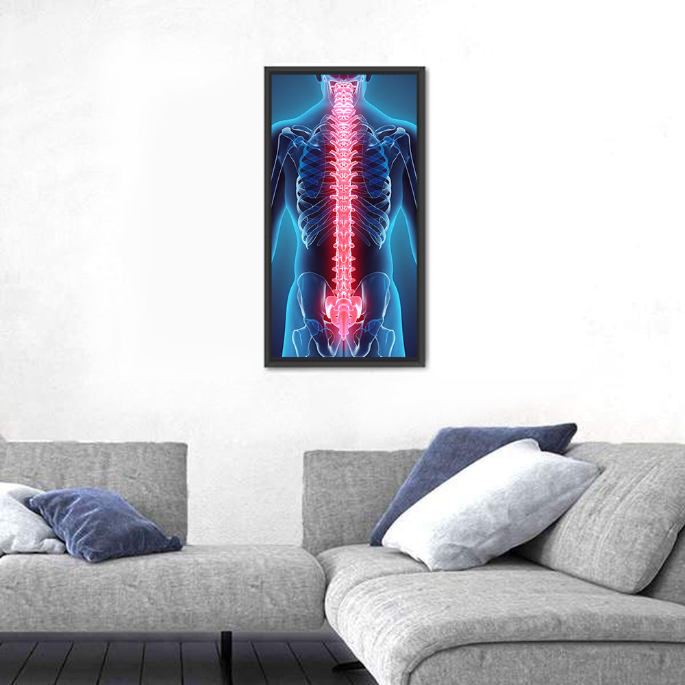 Human Spine Anatomy Illustration Wall Art