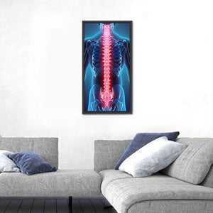 Human Skeleton Spine Wall Art