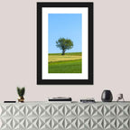 Solitary Tree on Rolling Meadow Wall Art