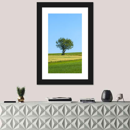Solitary Tree on Rolling Meadow Wall Art