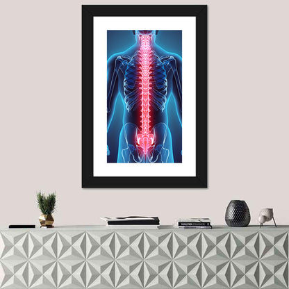 Human Spine Anatomy Illustration Wall Art
