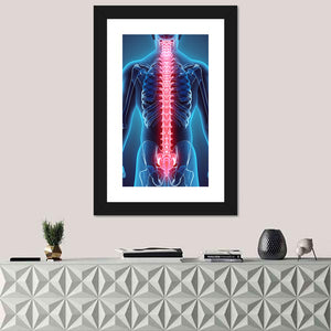 Human Skeleton Spine Wall Art