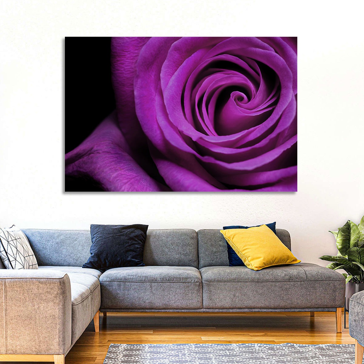 Purple Rose Close-up Wall Art in a room, landscape