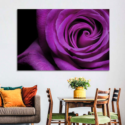 Purple Rose Close-up Wall Art